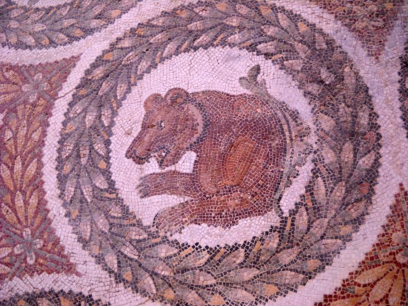 BARDO 00 (14).jpg